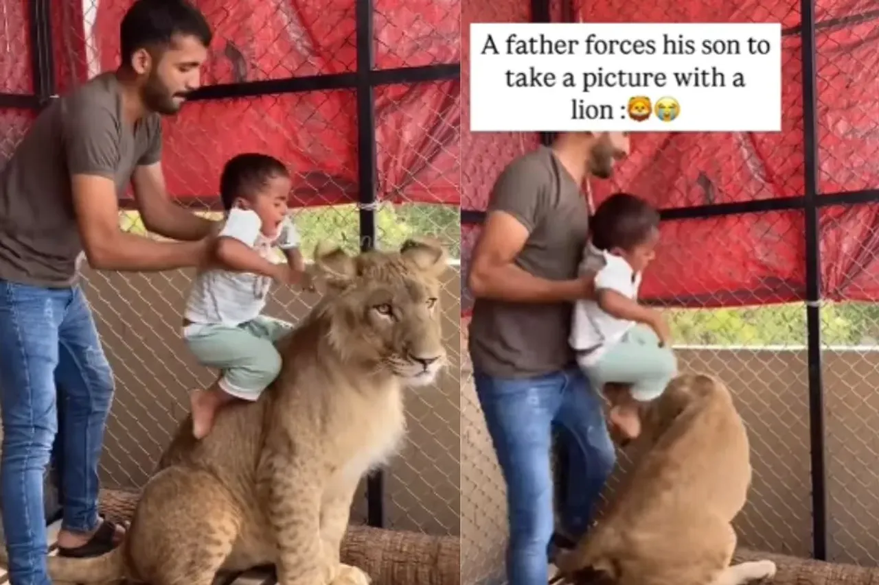 Father making his son sit on a lion